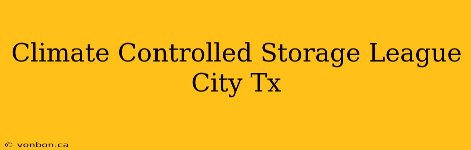 Climate Controlled Storage League City Tx