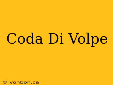 Coda Di Volpe