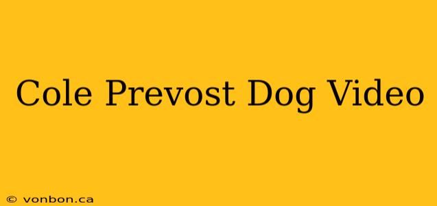 Cole Prevost Dog Video