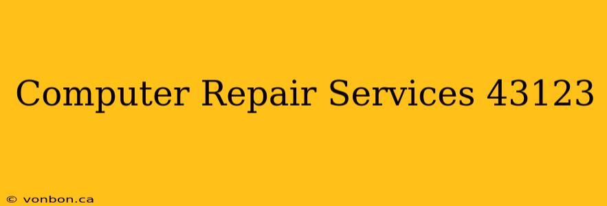 Computer Repair Services 43123