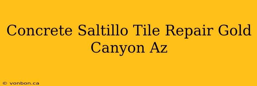 Concrete Saltillo Tile Repair Gold Canyon Az