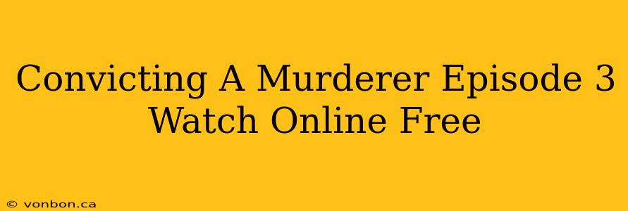 Convicting A Murderer Episode 3 Watch Online Free