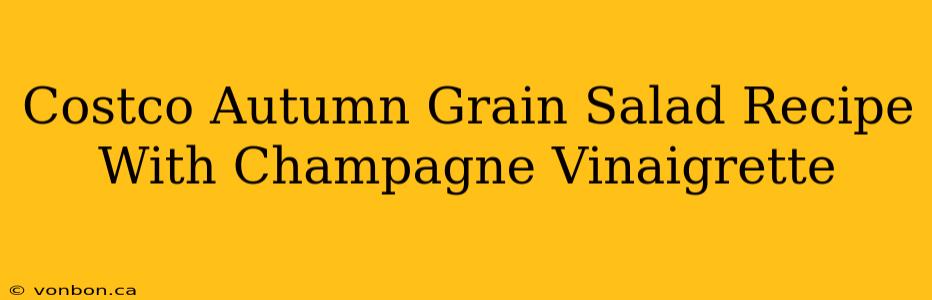 Costco Autumn Grain Salad Recipe With Champagne Vinaigrette