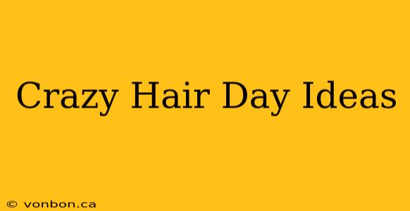 Crazy Hair Day Ideas