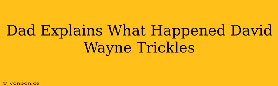 Dad Explains What Happened David Wayne Trickles