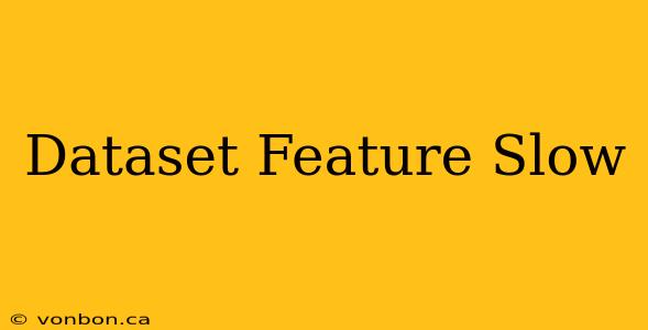 Dataset Feature Slow