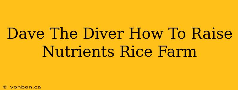 Dave The Diver How To Raise Nutrients Rice Farm