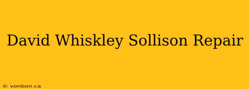 David Whiskley Sollison Repair