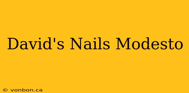 David's Nails Modesto