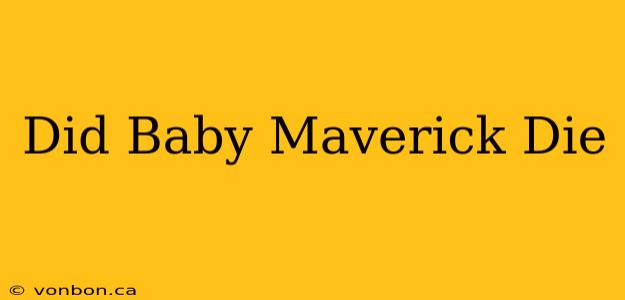 Did Baby Maverick Die