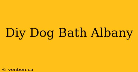 Diy Dog Bath Albany