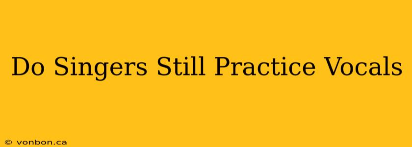 Do Singers Still Practice Vocals