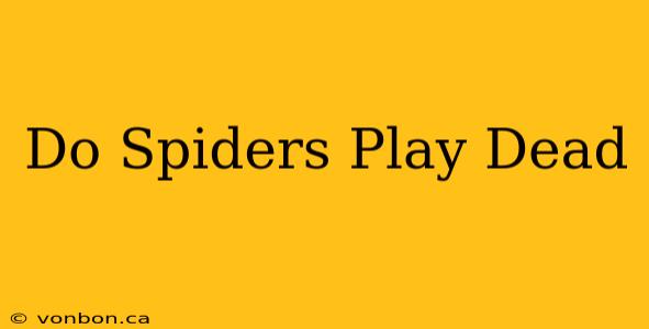 Do Spiders Play Dead