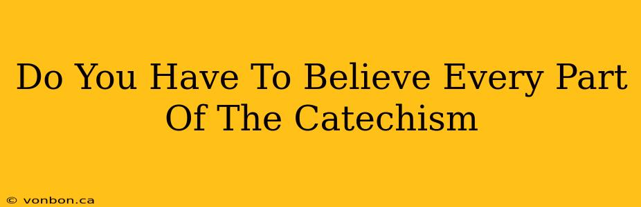 Do You Have To Believe Every Part Of The Catechism