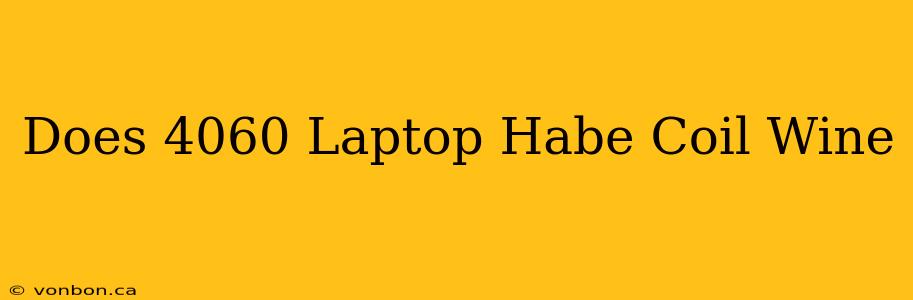 Does 4060 Laptop Habe Coil Wine