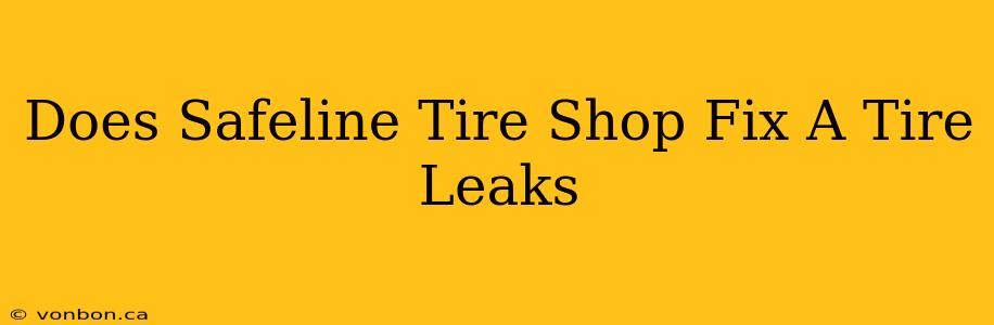 Does Safeline Tire Shop Fix A Tire Leaks