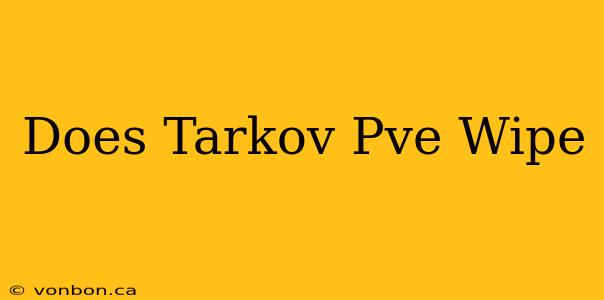 Does Tarkov Pve Wipe