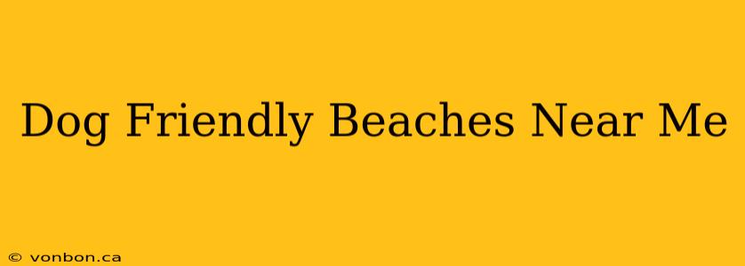 Dog Friendly Beaches Near Me