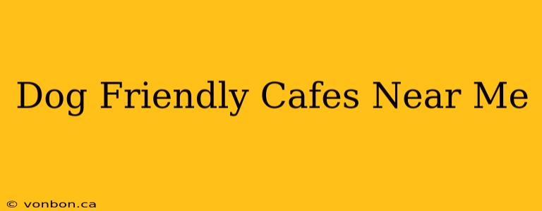 Dog Friendly Cafes Near Me