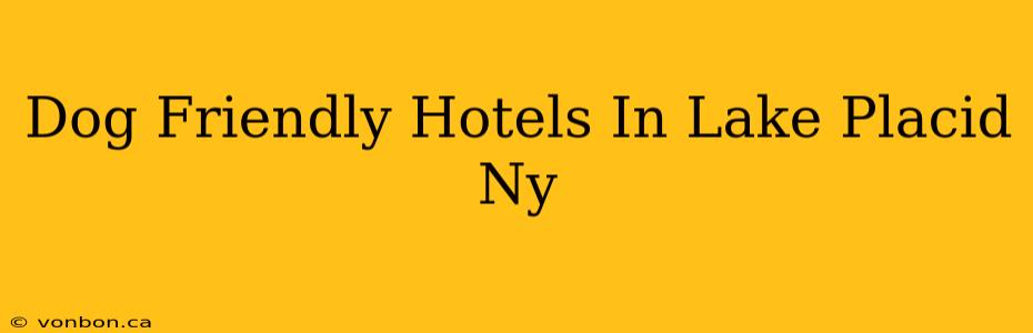 Dog Friendly Hotels In Lake Placid Ny