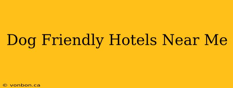 Dog Friendly Hotels Near Me