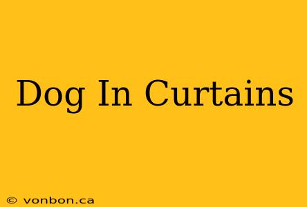 Dog In Curtains