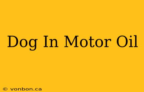 Dog In Motor Oil