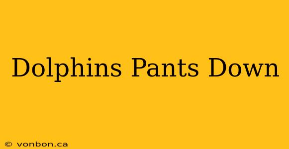 Dolphins Pants Down