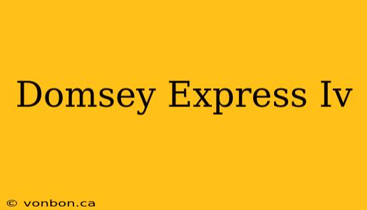 Domsey Express Iv