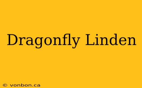 Dragonfly Linden