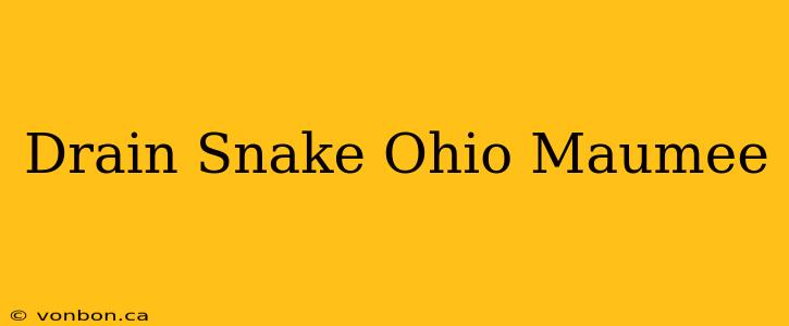 Drain Snake Ohio Maumee