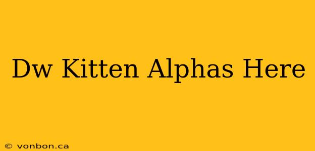 Dw Kitten Alphas Here