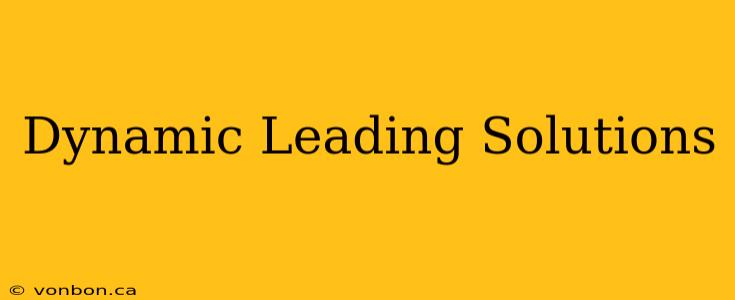 Dynamic Leading Solutions