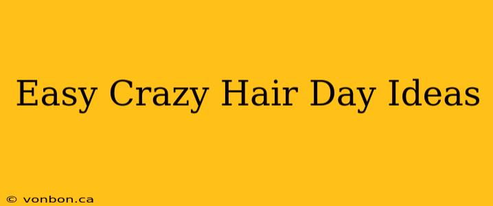 Easy Crazy Hair Day Ideas