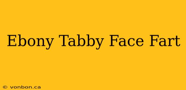 Ebony Tabby Face Fart