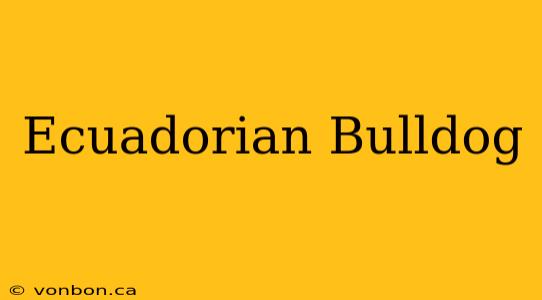 Ecuadorian Bulldog