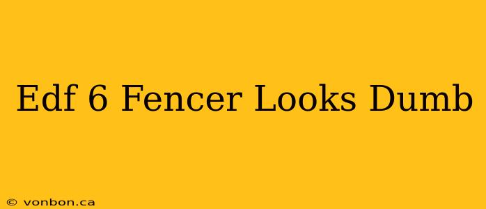 Edf 6 Fencer Looks Dumb