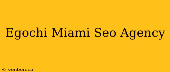 Egochi Miami Seo Agency