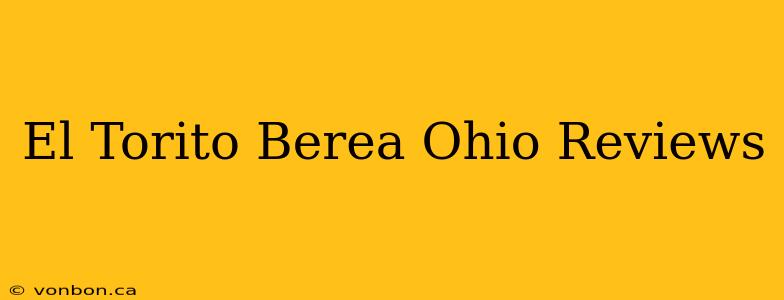 El Torito Berea Ohio Reviews