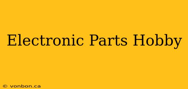 Electronic Parts Hobby