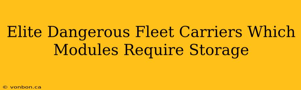 Elite Dangerous Fleet Carriers Which Modules Require Storage