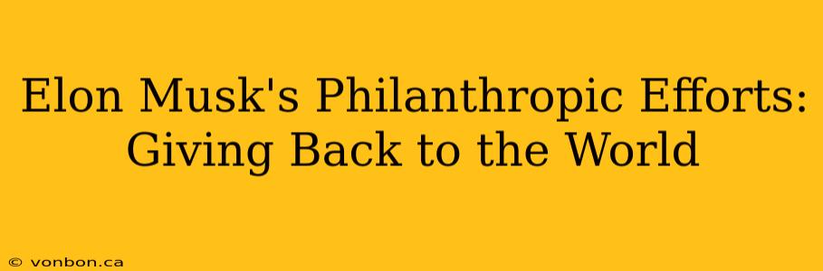 Elon Musk's Philanthropic Efforts: Giving Back to the World