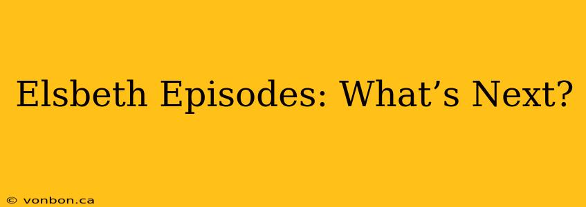 Elsbeth Episodes: What’s Next?