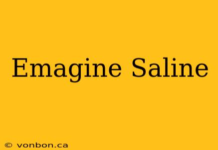 Emagine Saline