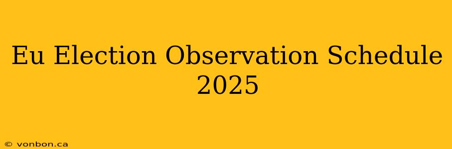 Eu Election Observation Schedule 2025