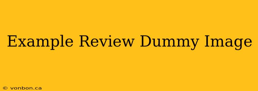 Example Review Dummy Image