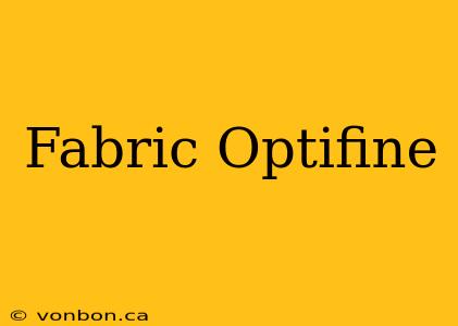 Fabric Optifine