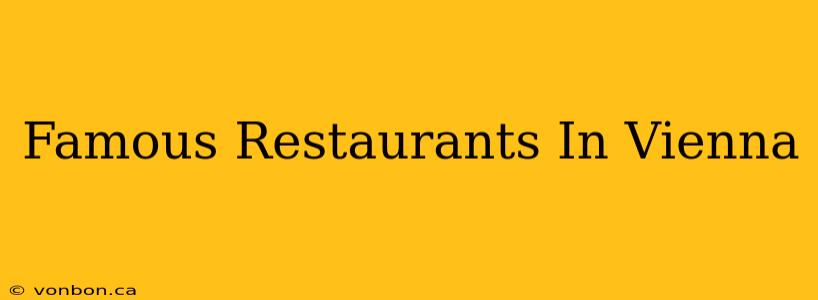 Famous Restaurants In Vienna