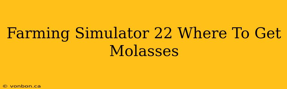 Farming Simulator 22 Where To Get Molasses