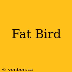 Fat Bird